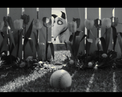 Frankenweenie2012-Film-041