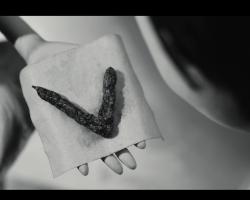 Frankenweenie2012-Film-046