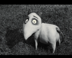 Frankenweenie2012-Film-054