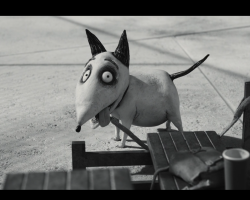 Frankenweenie2012-Film-063