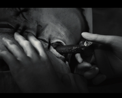 Frankenweenie2012-Film-105