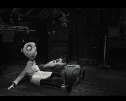 Frankenweenie2012-Film-123