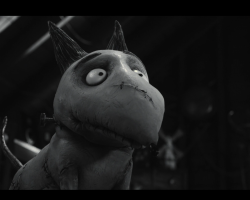 Frankenweenie2012-Film-130