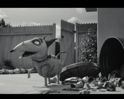 Frankenweenie2012-Film-139