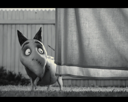 Frankenweenie2012-Film-142