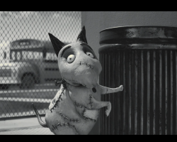 Frankenweenie2012-Film-147
