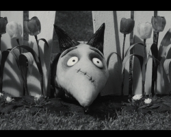 Frankenweenie2012-Film-150