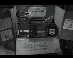 Frankenweenie2012-Film-173
