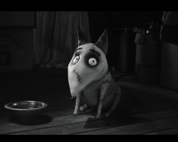 Frankenweenie2012-Film-181