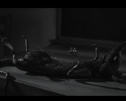 Frankenweenie2012-Film-249