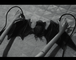 Frankenweenie2012-Film-258