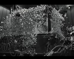 Frankenweenie2012-Film-320