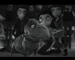 Frankenweenie2012-Film-369