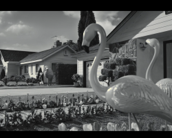 Frankenweenie2012-Film-023
