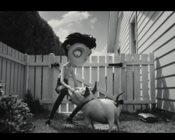 Frankenweenie2012-Film-051