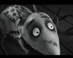 Frankenweenie2012-Film-155
