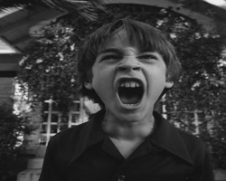 Frankenweenie1984-CourtMetrage-016