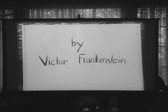 Frankenweenie1984-CourtMetrage-002