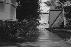 Frankenweenie1984-CourtMetrage-089