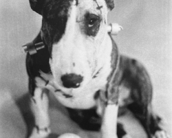 Frankenweenie1984-Promotion-AffichesPromo-3