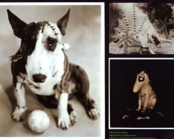 Frankenweenie-Production-Preproduction-226
