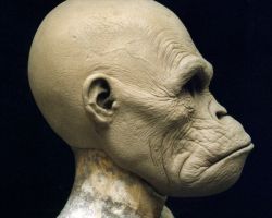 LaPlanetedesSinges-Production-Preproduction-67