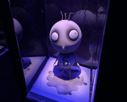 IMG_8571