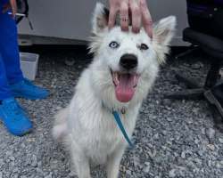 MercrediS2-Tournage-483