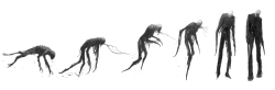 MissPeregrineetlesEnfantsParticuliers-Production-Croquis-063