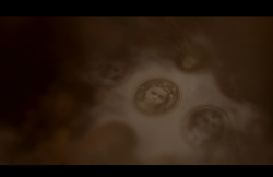 MissPeregrineetlesEnfantsParticuliers-Film-006