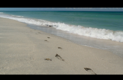 MissPeregrineetlesEnfantsParticuliers-Film-010