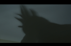 MissPeregrineetlesEnfantsParticuliers-Film-043