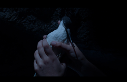 MissPeregrineetlesEnfantsParticuliers-Film-179