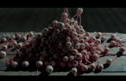 MissPeregrineetlesEnfantsParticuliers-Film-241