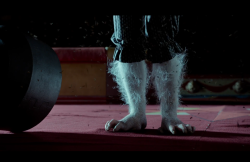 MissPeregrineetlesEnfantsParticuliers-Film-363