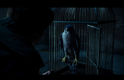 MissPeregrineetlesEnfantsParticuliers-Film-387