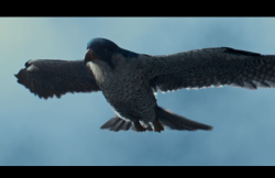 MissPeregrineetlesEnfantsParticuliers-Film-417