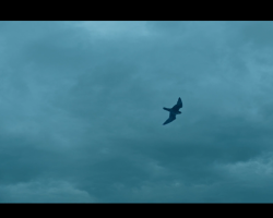 MissPeregrineetlesEnfantsParticuliers-Film-067
