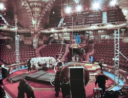 MissPeregrineetlesEnfantsParticuliers-Tournage-067