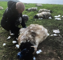 MissPeregrineetlesEnfantsParticuliers-Tournage-093