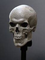 MissPeregrineetlesEnfantsParticuliers-Production-Preproduction-08