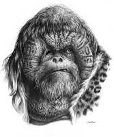 LaPlanetedesSinges-Production-Croquis-38