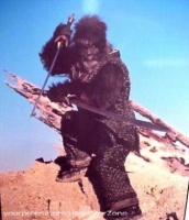 LaPlanetedesSinges-Promotion-AffichesPromo-37