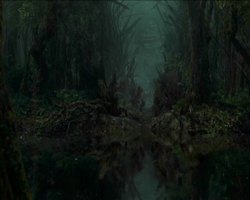 LaPlanetedesSinges-Film-100
