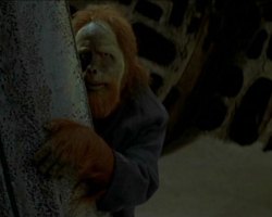 LaPlanetedesSinges-Film-156