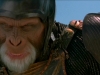 planet-of-the-apes-034