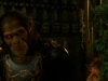 planet-of-the-apes-043