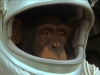 planet-of-the-apes-204