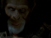 planet-of-the-apes-213