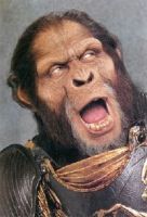 LaPlanetedesSinges-Tournage-007